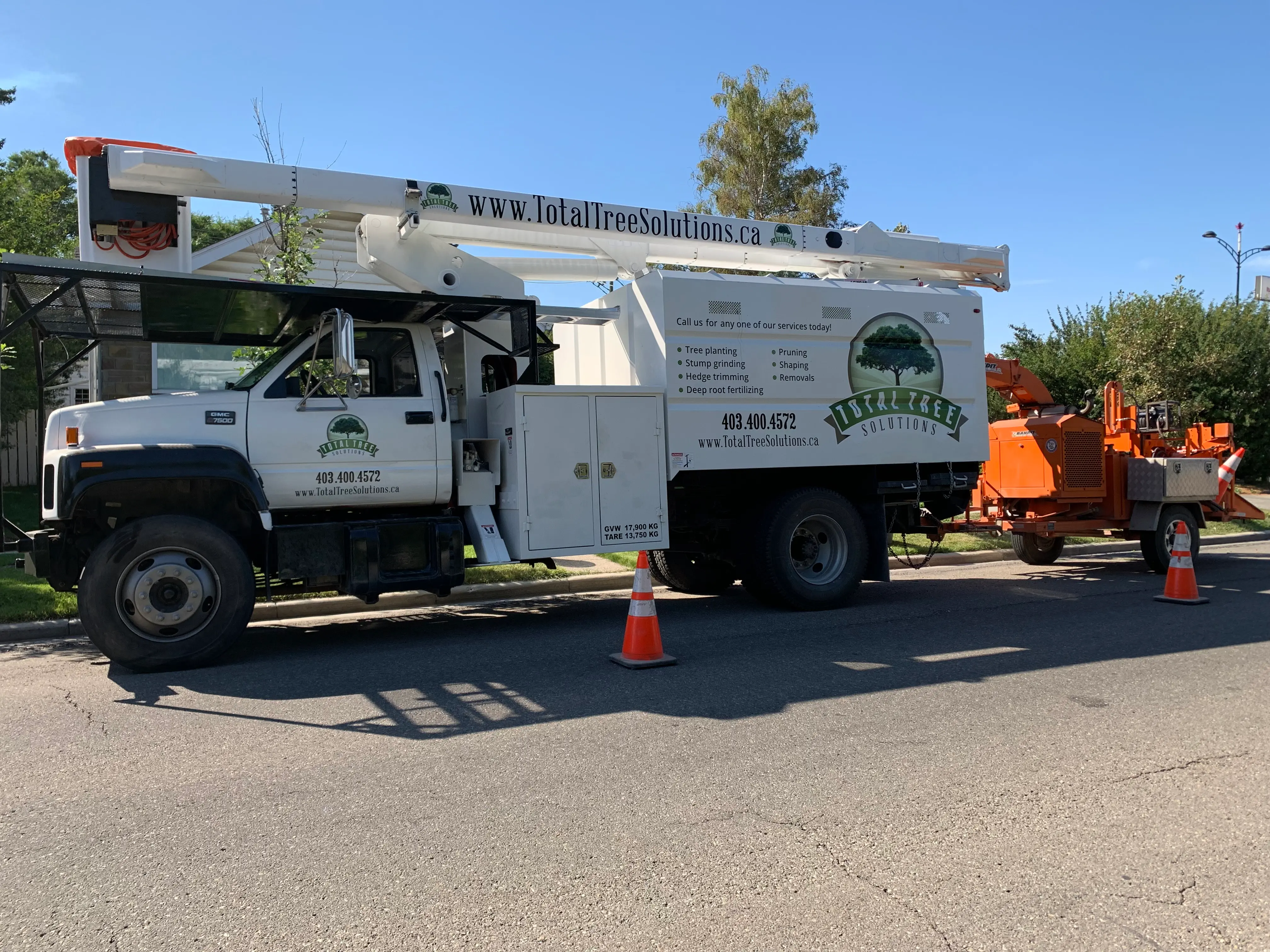 Total Tree Solutions team