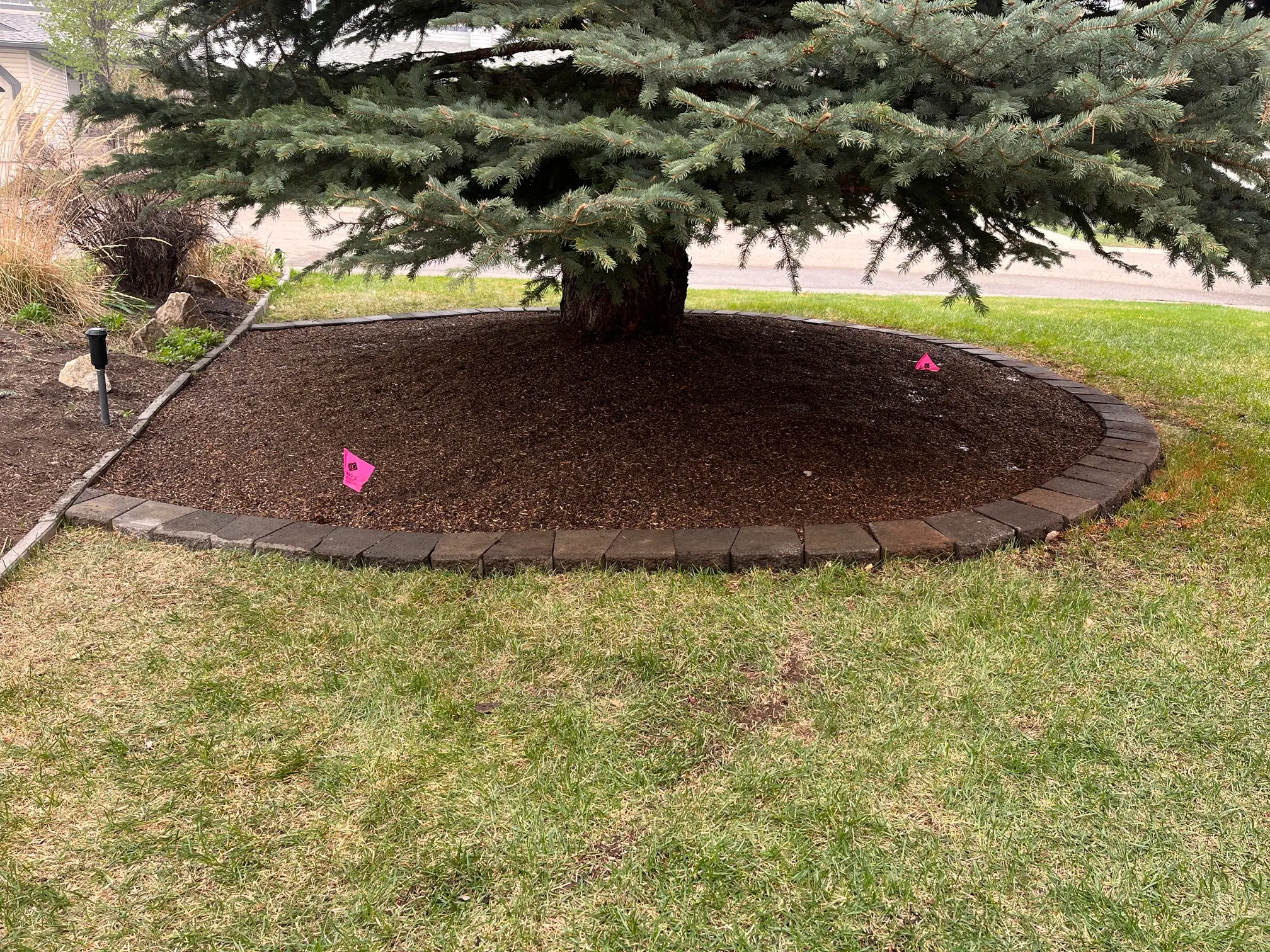 Edging & Paving Stones service